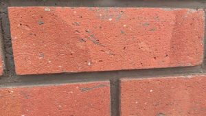 Exposed Brick Tiles In Rajpura