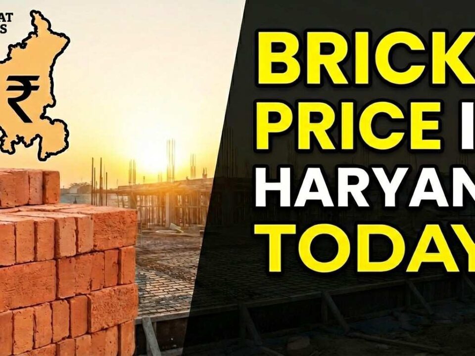Bricks Price In Haryana Today