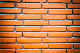 Busut Clay Brick In Panchkula
